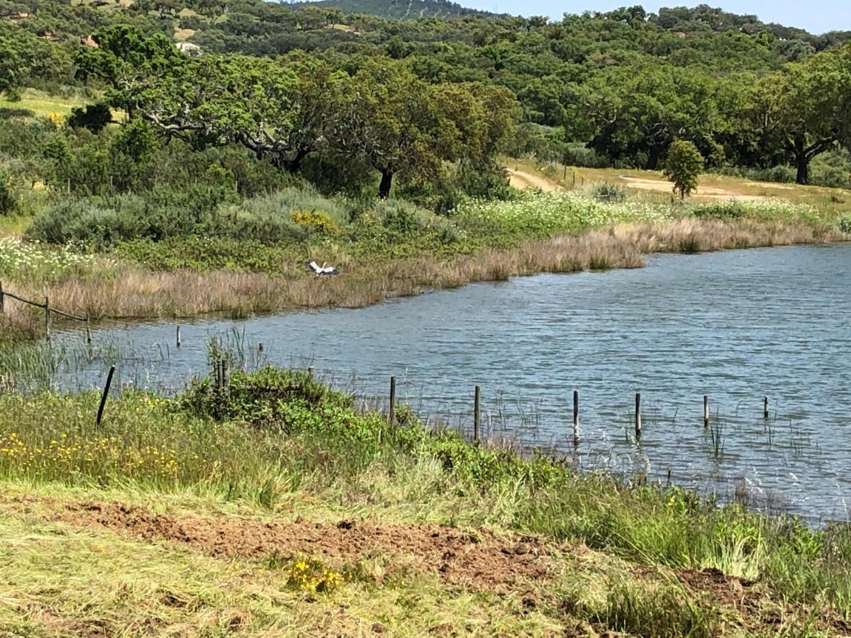 Fontes - A Essencia Do Alentejo Com Lago Privado Redondo Eksteriør bilde