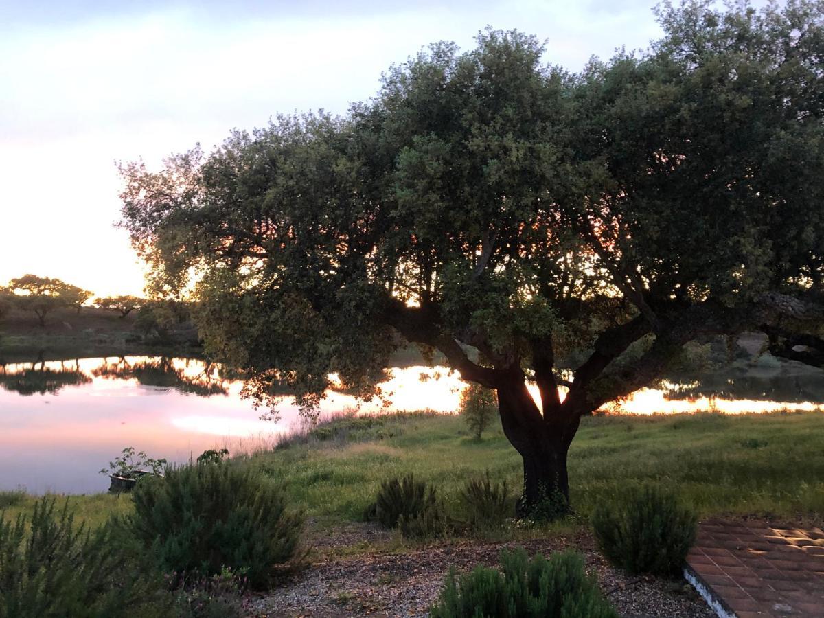 Fontes - A Essencia Do Alentejo Com Lago Privado Redondo Eksteriør bilde