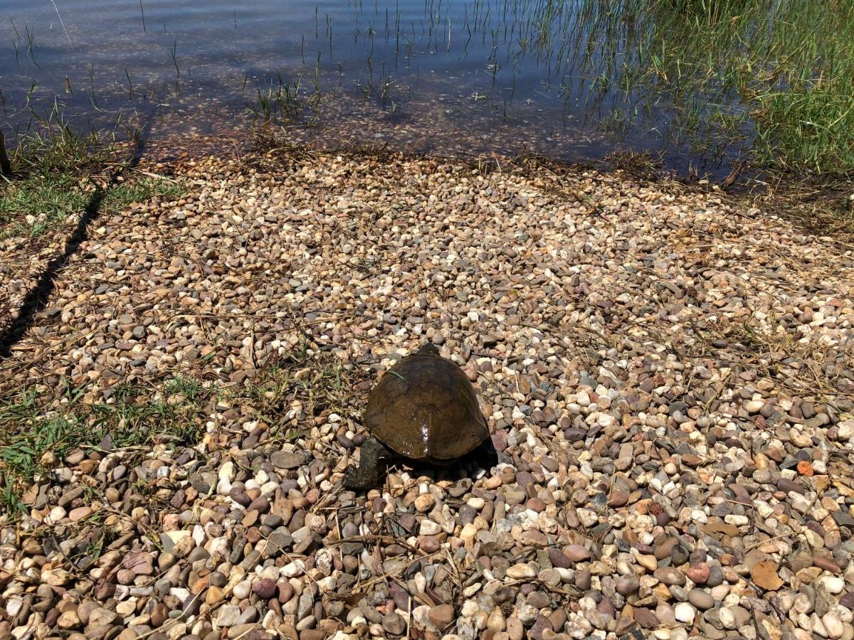 Fontes - A Essencia Do Alentejo Com Lago Privado Redondo Eksteriør bilde