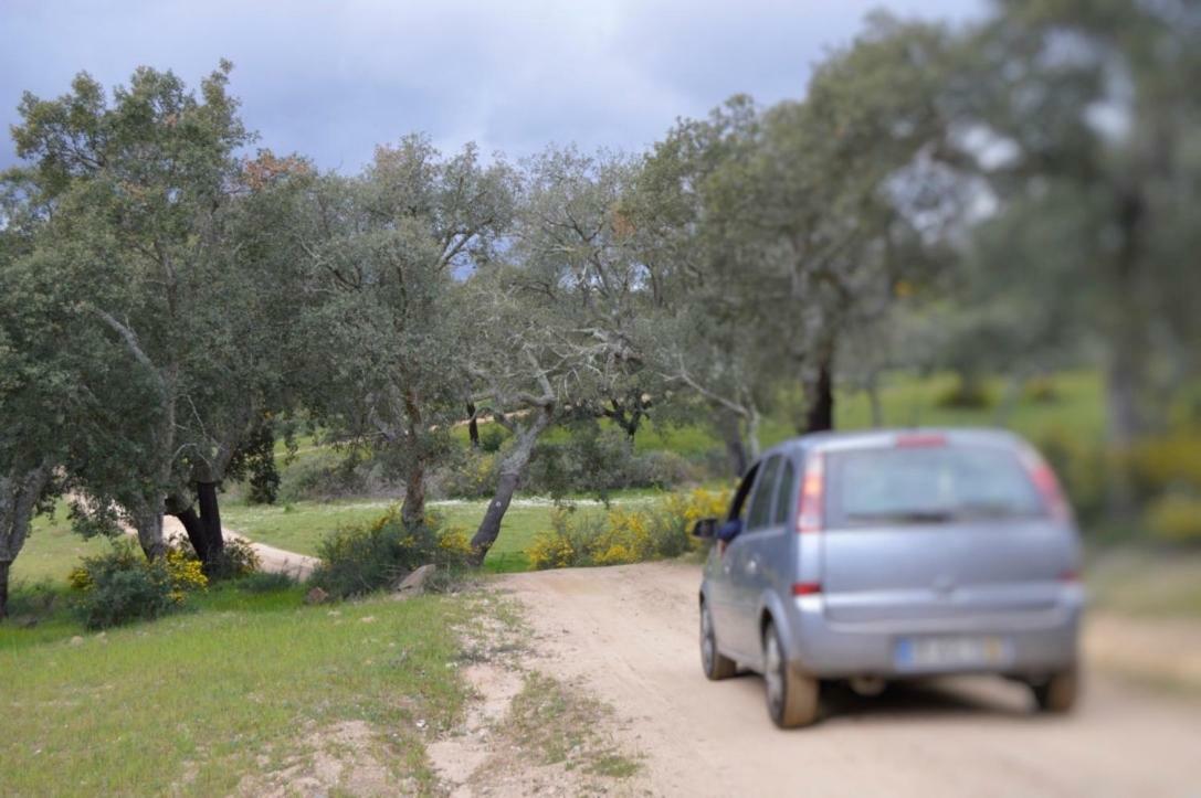 Fontes - A Essencia Do Alentejo Com Lago Privado Redondo Eksteriør bilde